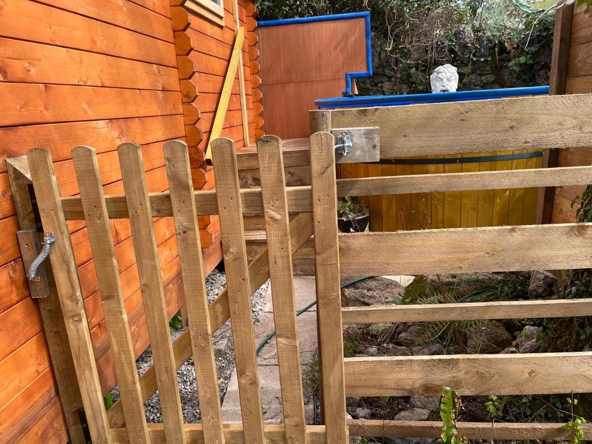 Retro Private Lodge With Hot Tub Nr Dartmoor Нютън Абът Екстериор снимка