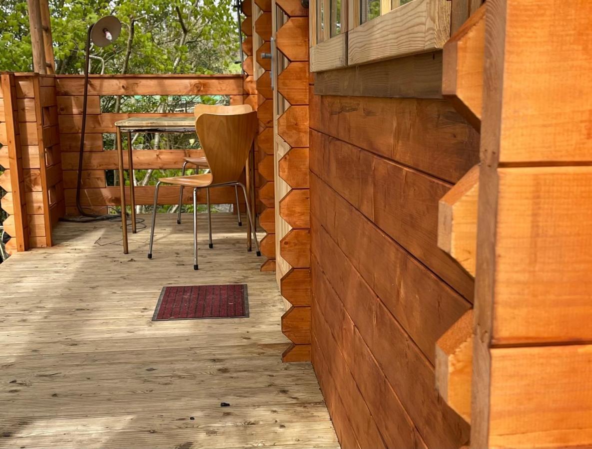 Retro Private Lodge With Hot Tub Nr Dartmoor Нютън Абът Екстериор снимка