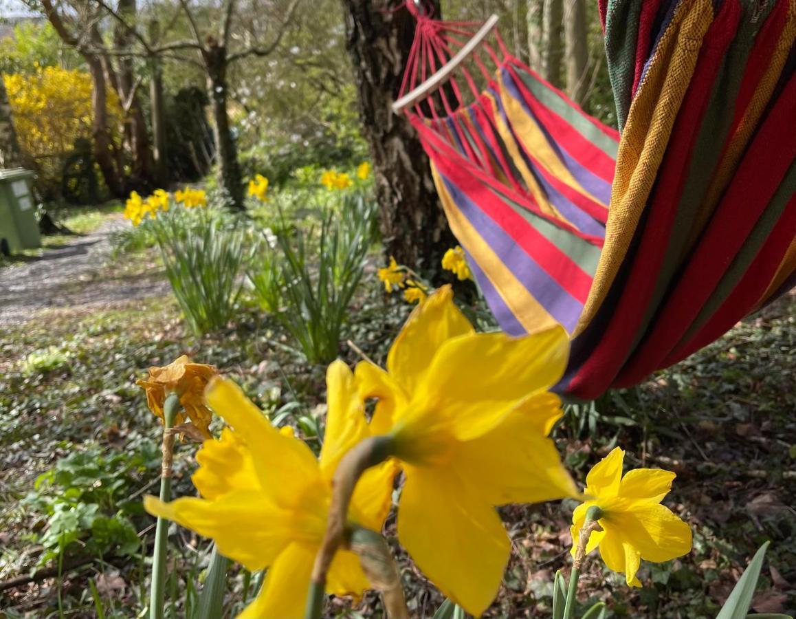 Retro Private Lodge With Hot Tub Nr Dartmoor Нютън Абът Екстериор снимка