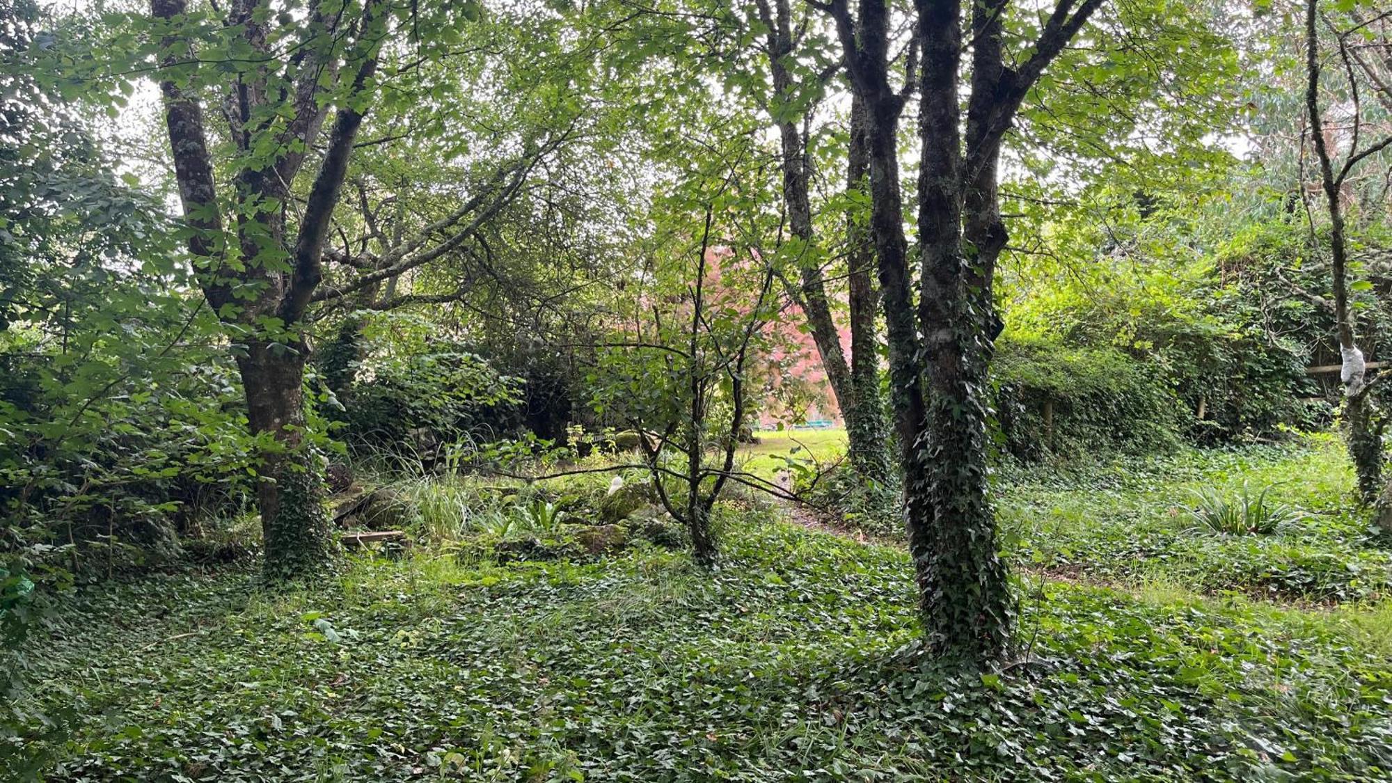 Retro Private Lodge With Hot Tub Nr Dartmoor Нютън Абът Екстериор снимка